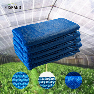 Due aghi blu nastro blu + reti tonalità