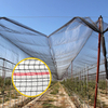 Rete antigrandine lavorata a maglia di alta qualità per vigneti