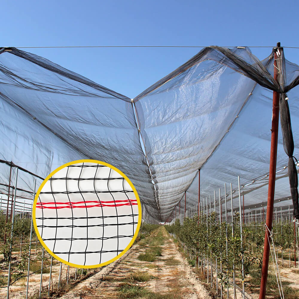 Rete antigrandine lavorata a maglia di alta qualità per vigneti