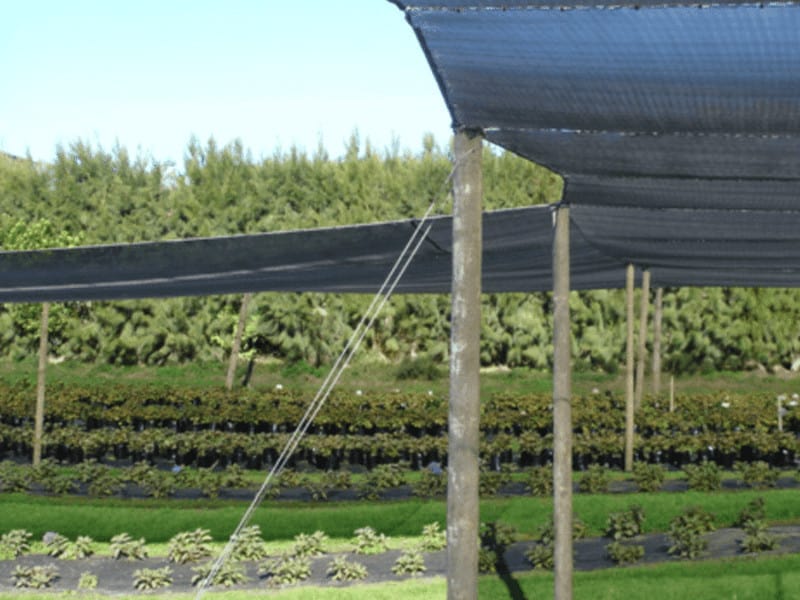rete ombreggiante per vegetali