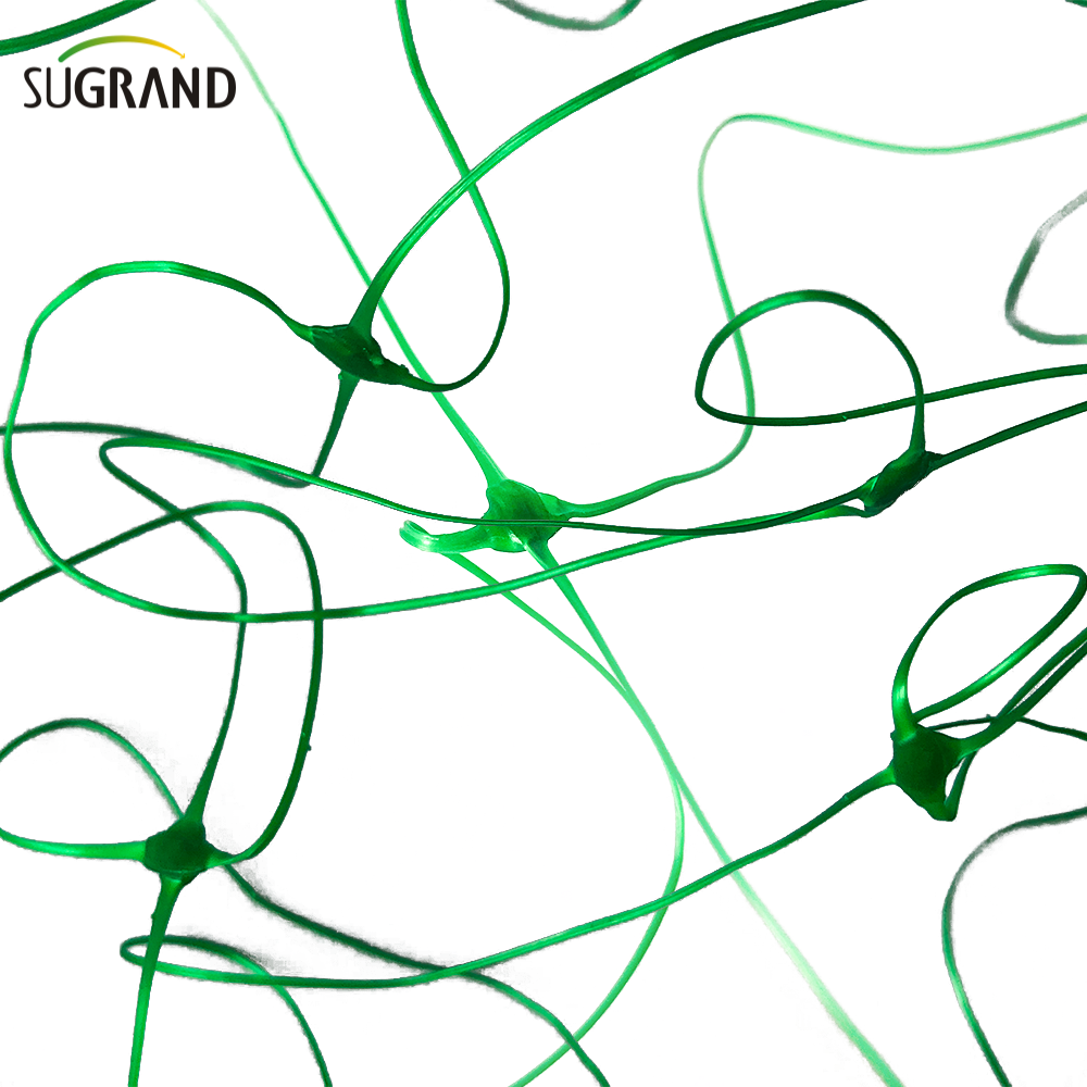 HDPE Plant Protection Net Plant Support Support Net Climbing Trellis Net