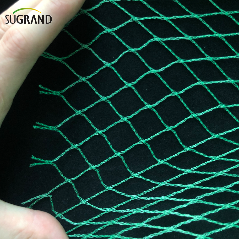 Green Bird Net 4x30m Bird Net per i fornitori del mercato della Thailandia