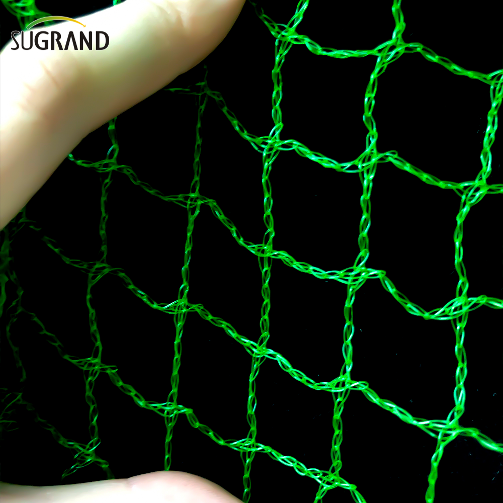 Net di uccelli verdi intrecciati da 10 mm-30 mm per catturare la rete degli uccelli