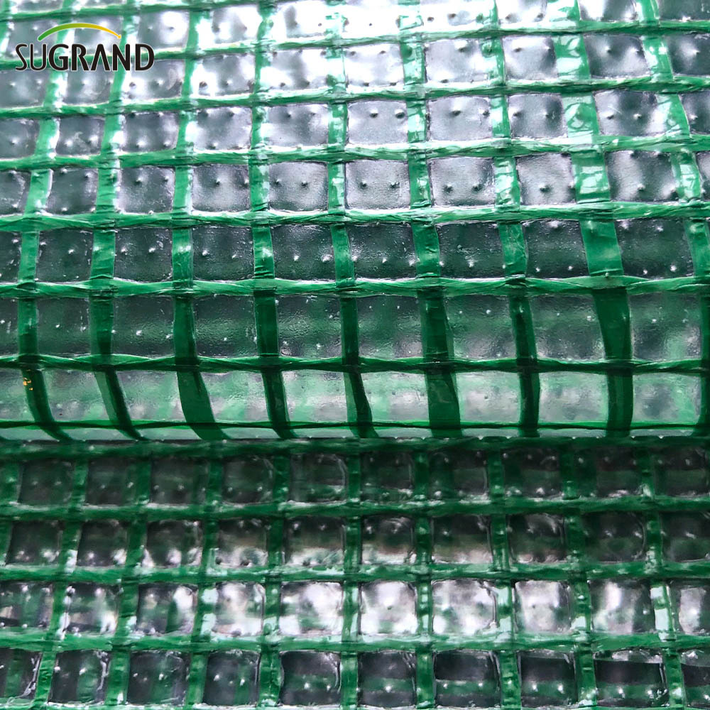 Tarpaulin per mesh netta di sicurezza in mesh di sicurezza per costruzione