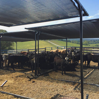 Fabbrica di reti mono ombra lavorate a maglia per l'agricoltura