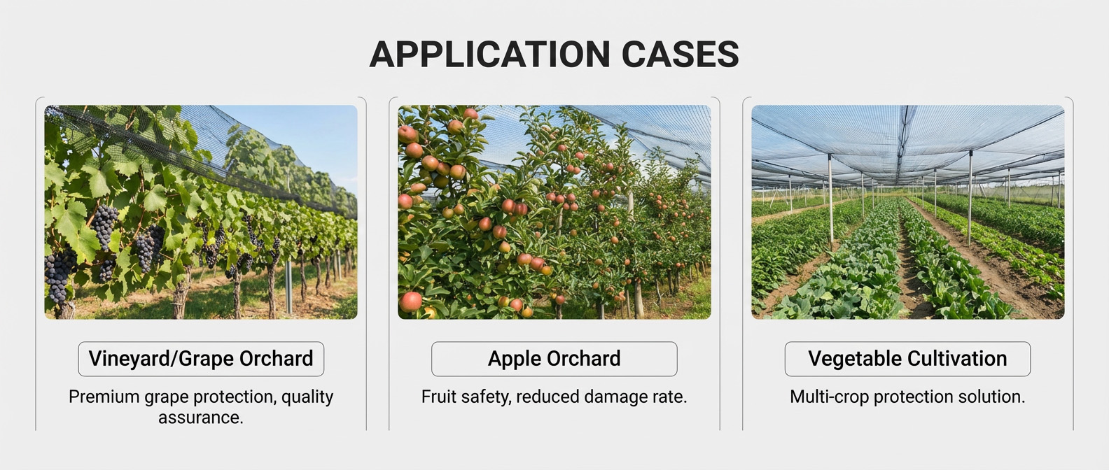 rete antigrandine garden.jpg