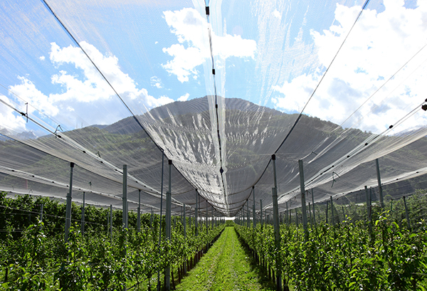 OEM/ODM​​​​​​​