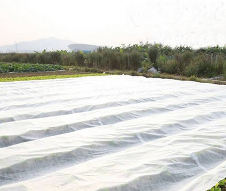 100 nuovi tessuti non tessuti in hdpe