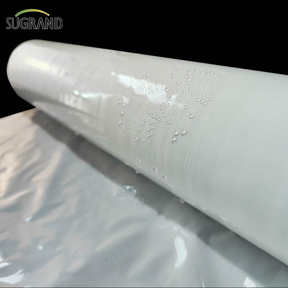 Film di insilato Film di elasticità bianca / nera insilato