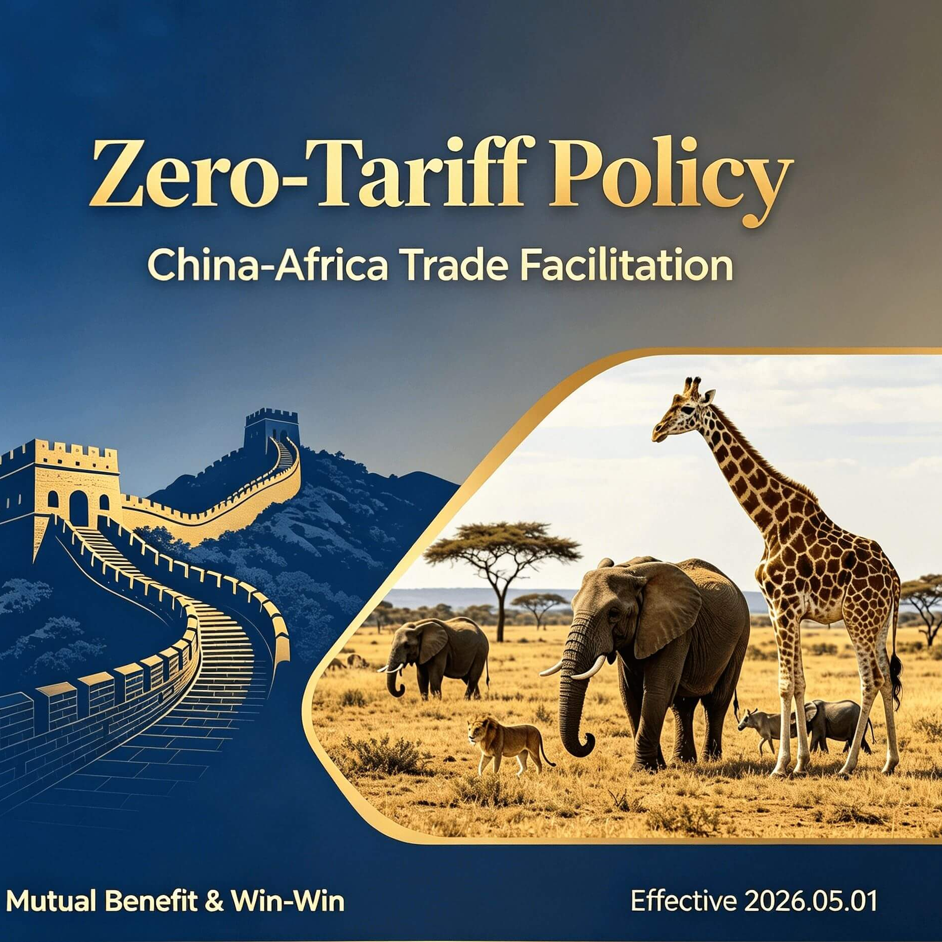 Tariffa zero Cina-Africa: una nuova era per il commercio B2B
