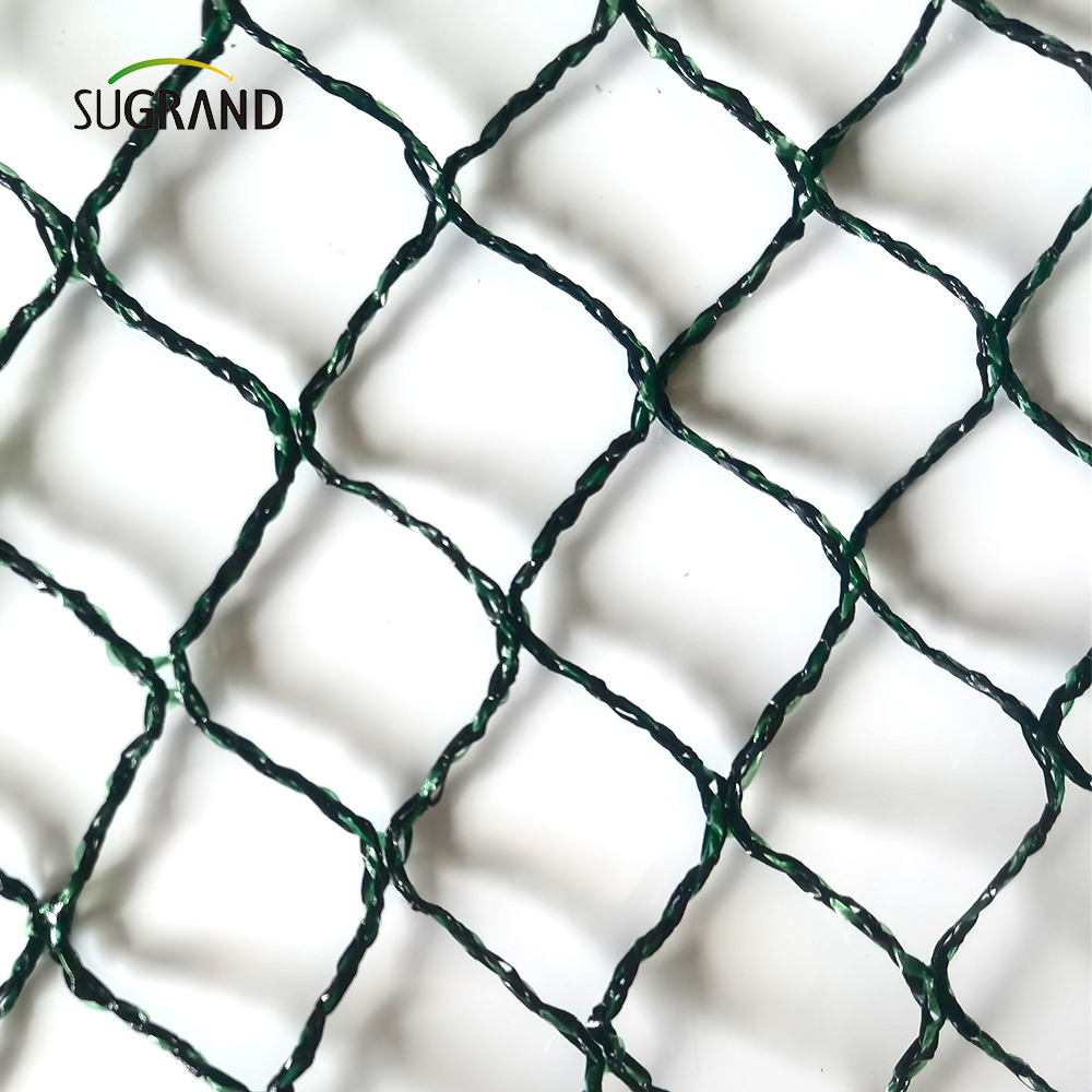 Repubblica ceca 100% HDPE+UV 25GSM 20*20mm Mesh 5*6/12M Agricoltura verde nero Cattura della nebbia di uccelli