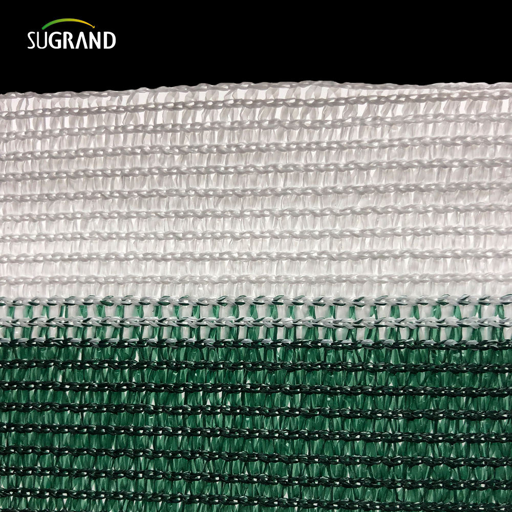 Aghi di alta qualità da 6 aghi piatti Balcone in plastica in plastica netta marrone e bianca a due colori antivento