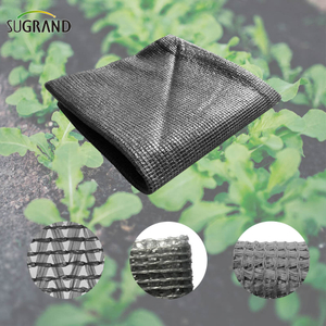 Sei aghi mono nastro mono grigio rete