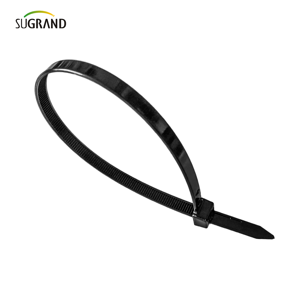 Cravatta per cavo in plastica di alta qualità cravatta in nylon