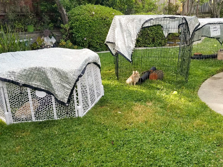 Top Agricultural Shade Net Produttori a Bangalore