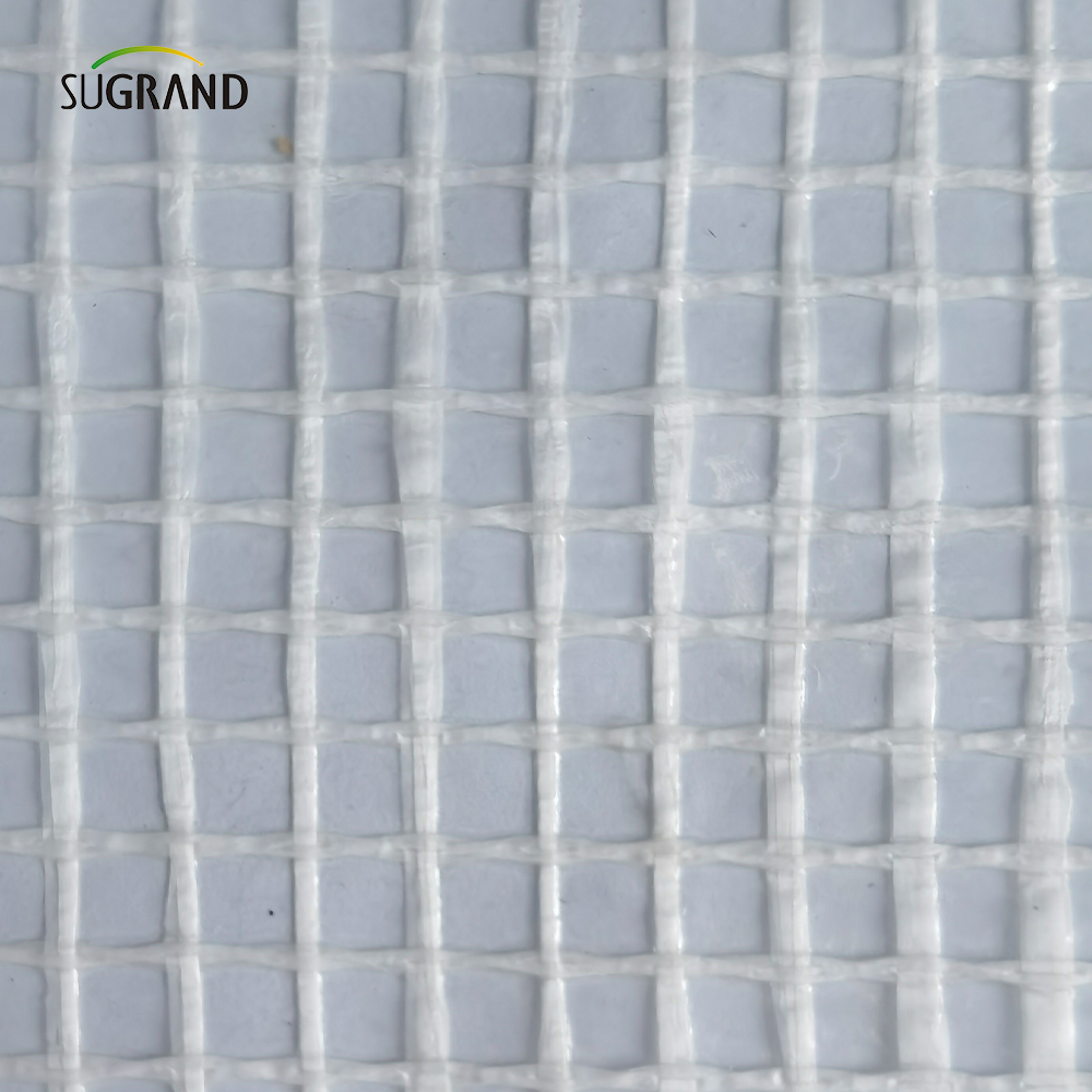 800 g di ritardatario di incendio 3*45m per la reti del ponteggio