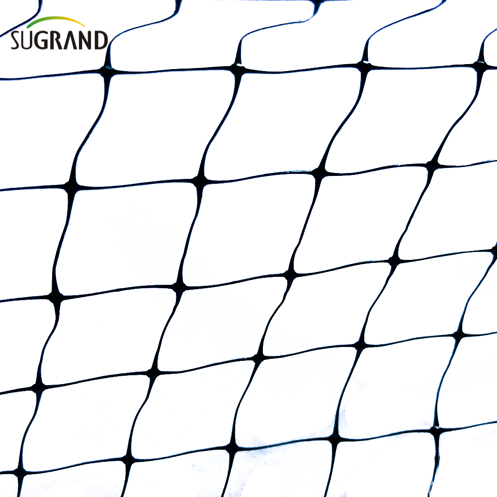 Rete antiuccelli nera per piante