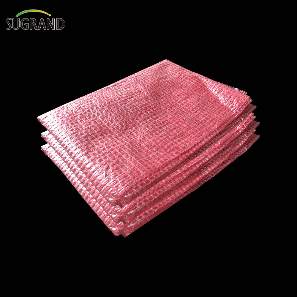 Telaio in rete di impalcature di plastica Tarpaulin trasparente