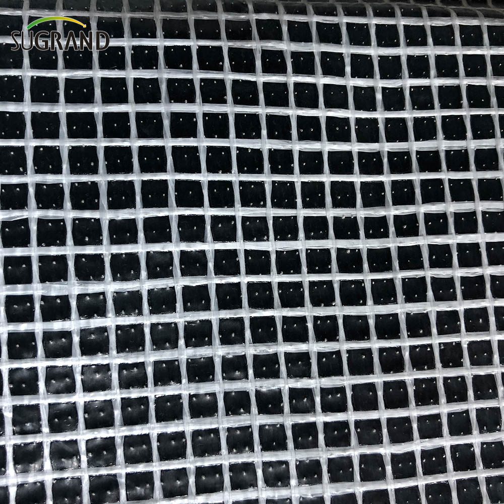 Punta per mesh in mesh antincendio in PVC in PVC PVolding PE Tarpaulin