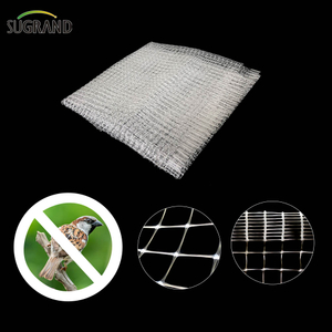Net anti-uccello estruso bianco 8*8mm per fornitori di reti per uccelli da frutta