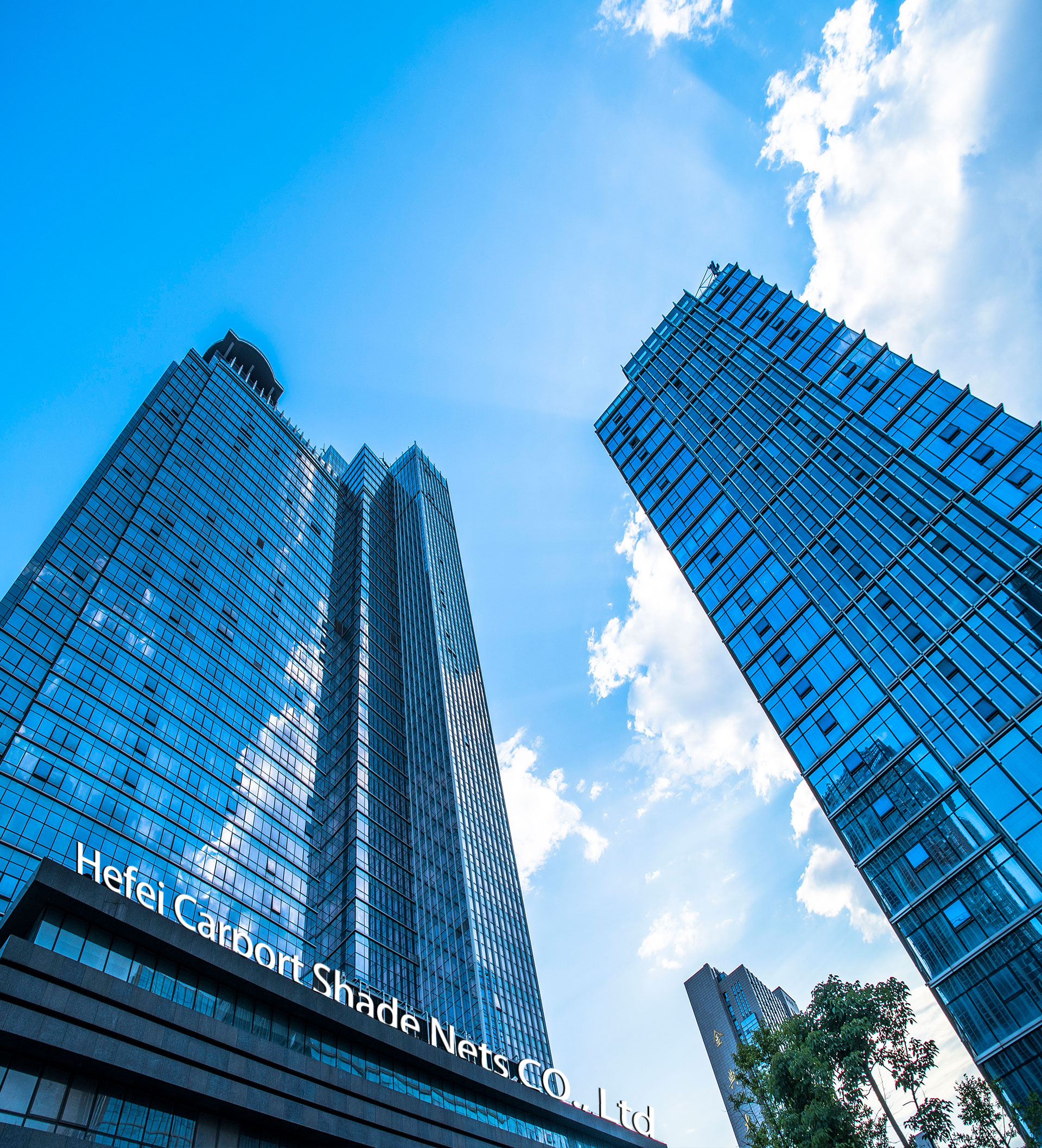 rete di avvertimento12