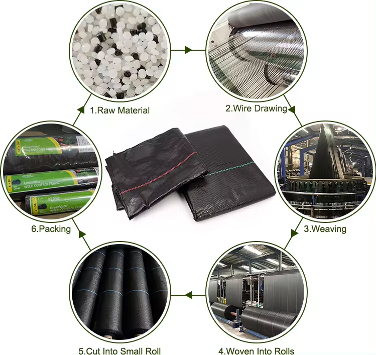 copertura del terreno