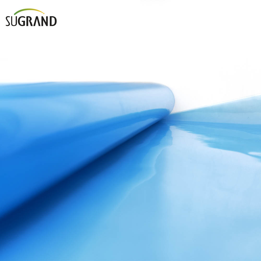  6 mil film in polietilene serra pellicola in plastica serra blu 