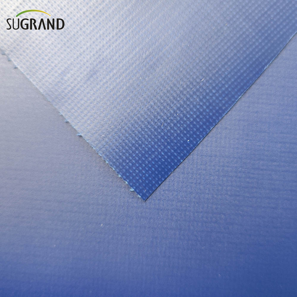 Blue 12x24 Tarpaulin Tarpaulin trasparente Duty 