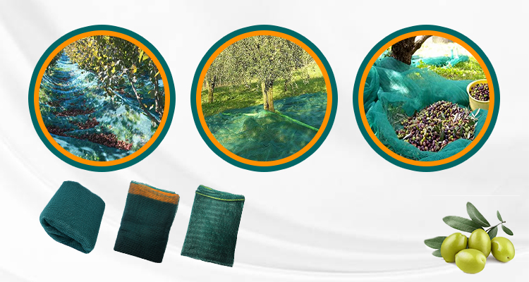 forniture di rete per olivi