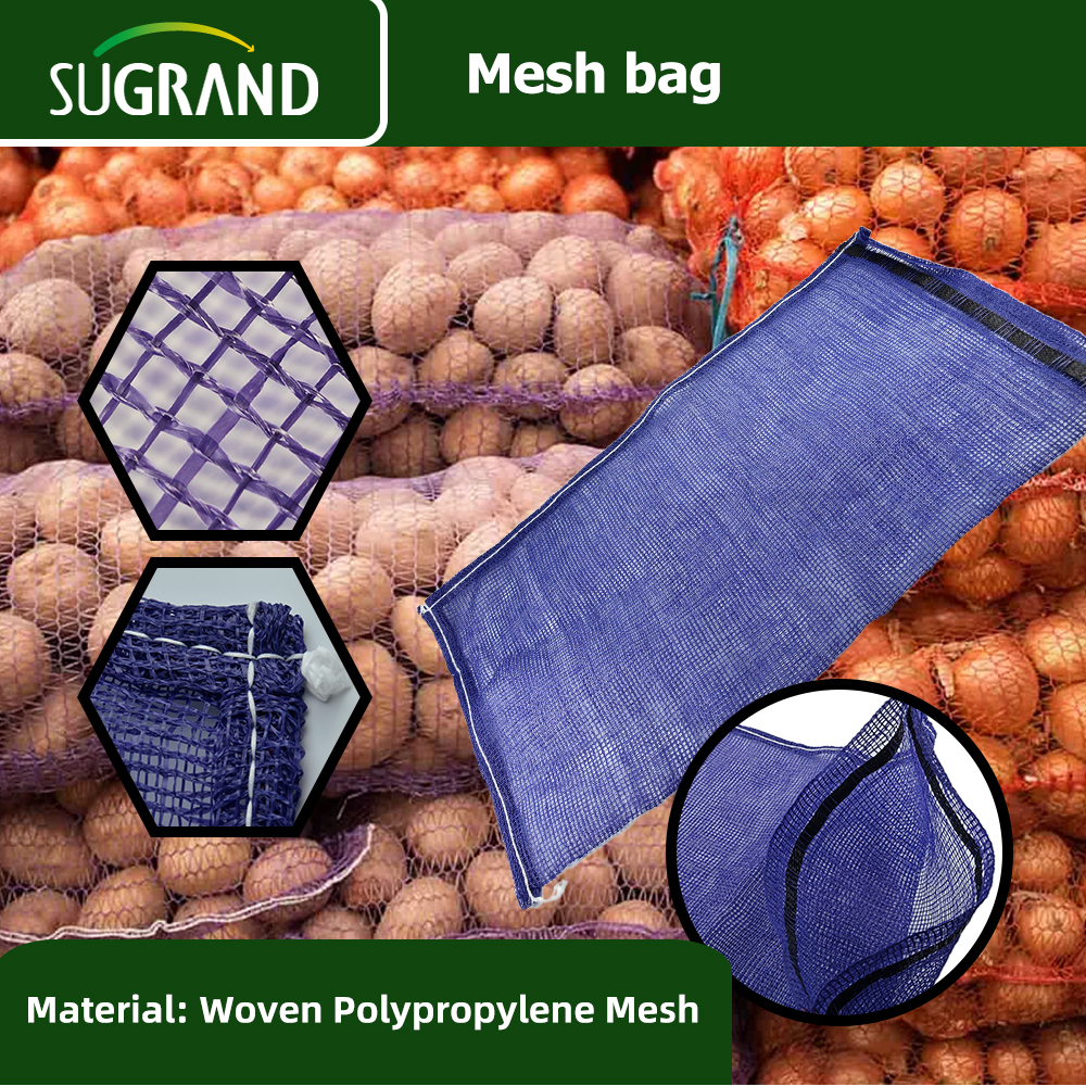 datteri che imballano i sacchetti