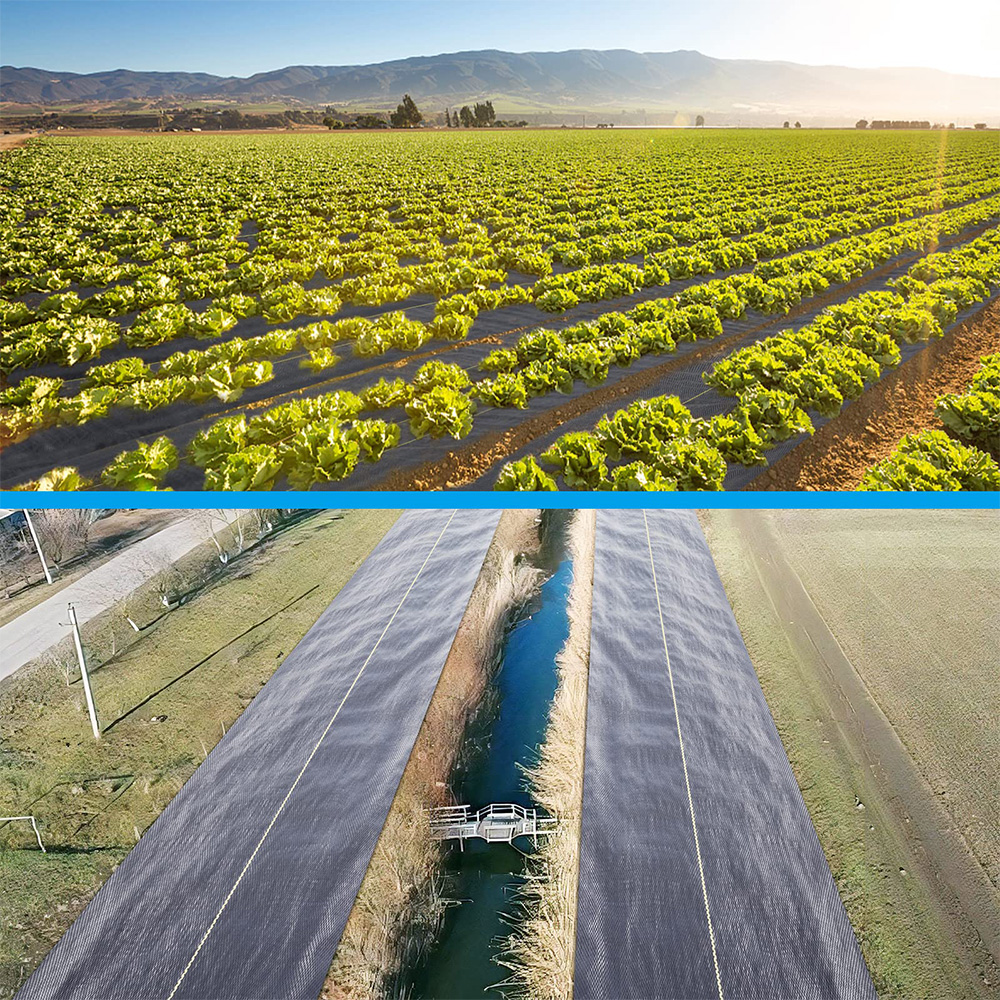 Polipropilene (PP) Copertura del terreno tessuto Barriera