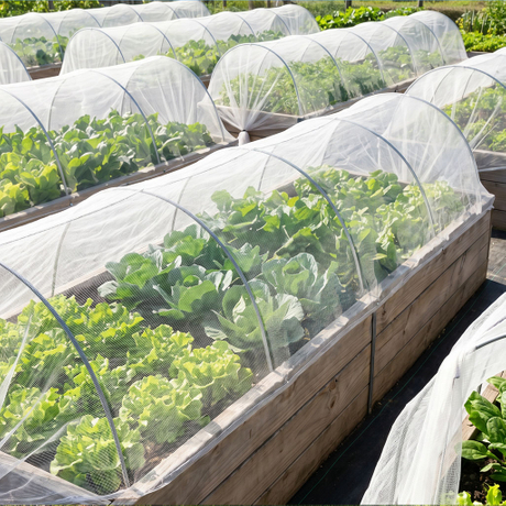 agricultural insect net.jpg